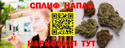 дмт Новозыбков