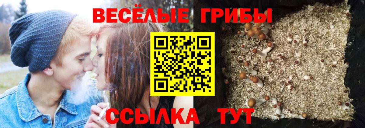 Галлюциногенные грибы GOLDEN TEACHER  Галлюциногенные грибы MAGIC MUSHROOMS  Таганрог  наркошоп  Вход с VPN 